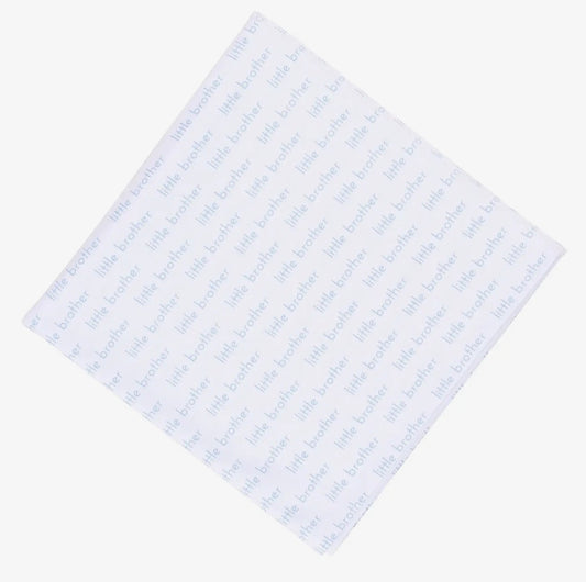 Little Brother Swaddle Blanket